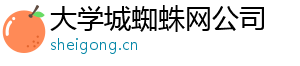大学城蜘蛛网公司